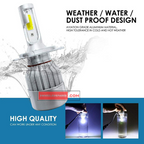 C6 LED Headlight Bulb 12V 6W PX43t X1 Genuine LED Lights