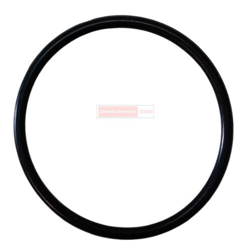 Shine BS6 Petrol Filter (Fuel Filter) Genuine Petrol Filter
