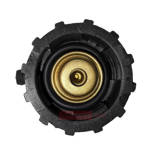 Pulsar NS200 Radiator Cap Bajaj Genuine Parts