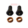 Pulsar Banjo Bolt Kit Bajaj Genuine Parts 